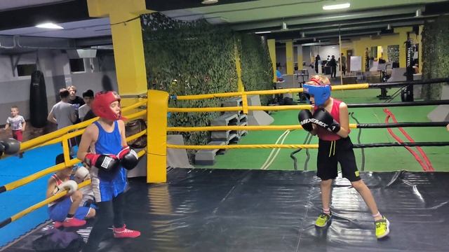 бокс молот 14 смотреть онлайн