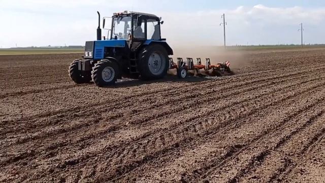 Посевная компания Подсолнечник "АгроВиста" смотреть онлайн