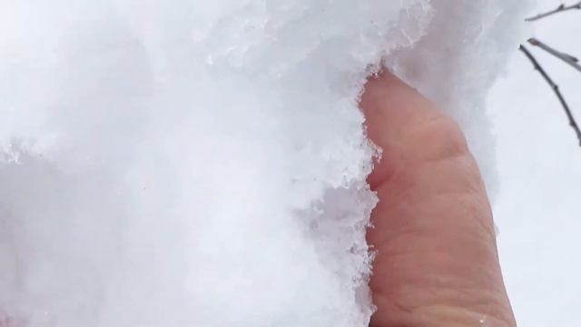 АСМР Звук природы смотреть онлайн
