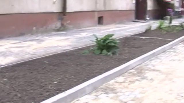 Прибудинкові території Луцька змінюються до невпізнанності 📹