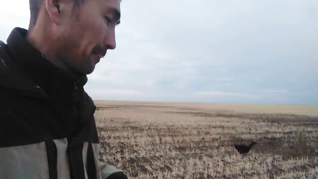 гуменики, редкий гость в наших краях смотреть онлайн