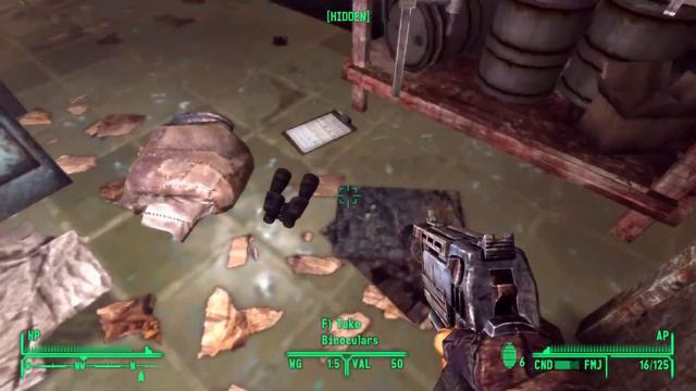 Fallout New Vegas - Tale of Two Wastelands (Modded): Part 4 смотреть онлайн