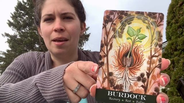 Witchy Shop Of The Week (#1): PhyteAsana! смотреть онлайн