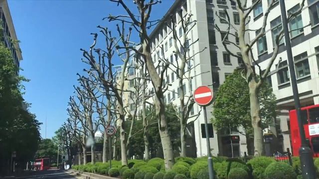 Видео: прогулка по Лондону на машине смотреть онлайн
