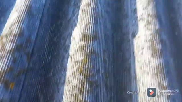 Стройка Проект