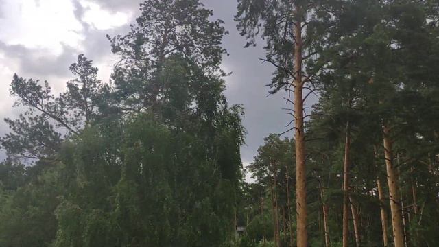 Чебаркуль, непогода