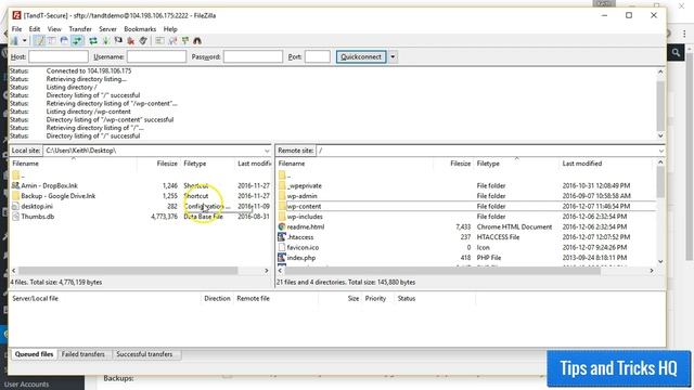 How to Backup the WordPress Database смотреть онлайн