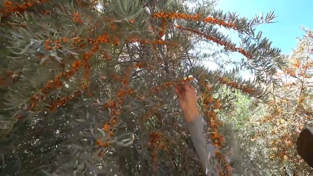 #4 ДИКИЙ ТАДЖИКИСТАН. ОТНОШЕНИЕ К РУССКИМ. ПАМИРСКИЙ ТРАКТ смотреть онлайн