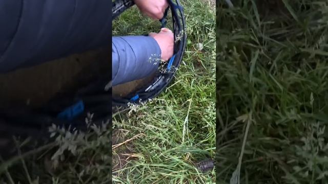 Самый большой лещ сезона⎮Сколько ж он весит? смотреть онлайн