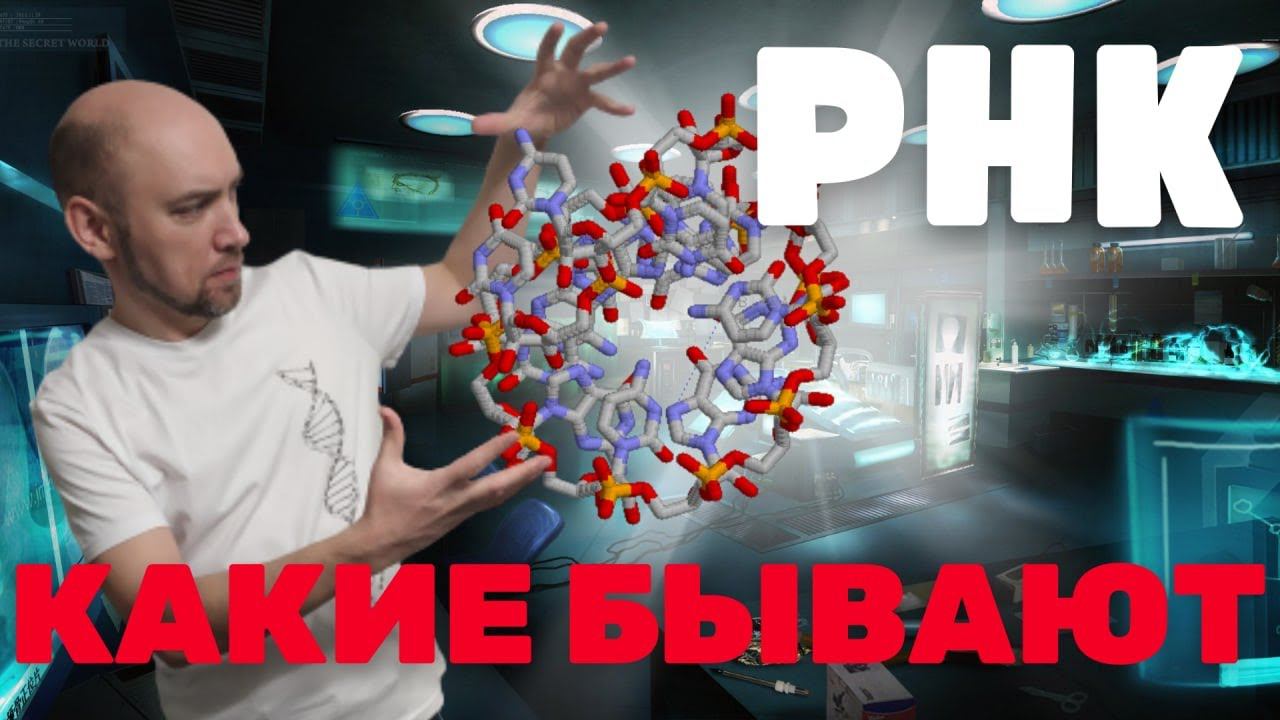 Каково разнообразие РНК в организмах? Душкин объяснит смотреть онлайн