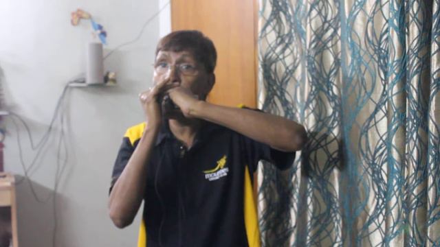 Ae Dil Hai Mushkil(Arijit Singh)-Seydel Deluxe Steel harmonica-Dm смотреть онлайн