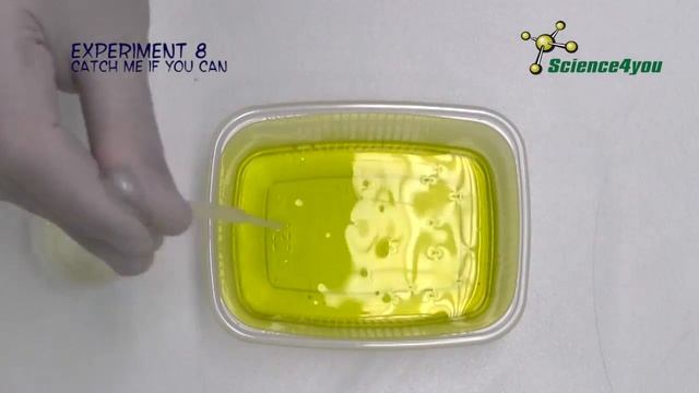 Slime Factory 8 Catch me if you can смотреть онлайн