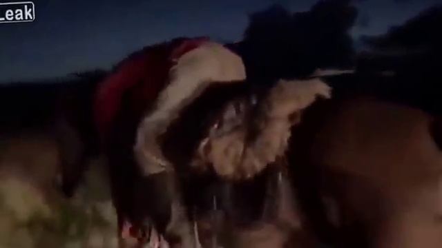 Хорошо пьяному ковбою, когда, лошадь дорогу домой знает смотреть онлайн