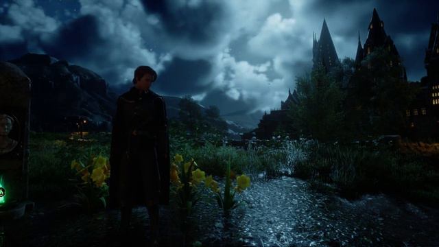 Hogwarts Legacy 5 minutes of trumpet flowers смотреть онлайн