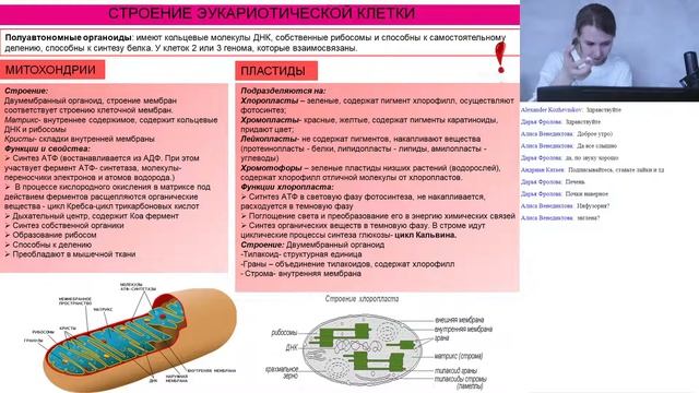 Занятие #2. Cтроение клетки часть 2. смотреть онлайн