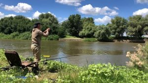 ЭТОТ МОНТАЖ ЛОВИТ САЗАНА В БЕСКЛЕВЬЕ / РЫБАЛКА НА ВОЛГЕ