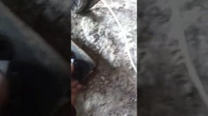 Замена поршневых колец т40