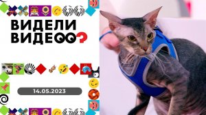 Видели видео? Выпуск от 14.05.2023