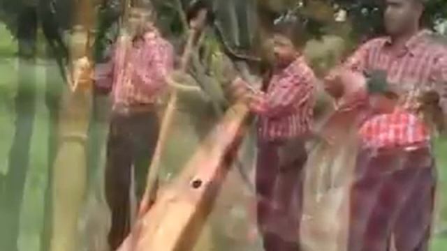 Coleador Sabanero - Julio Pantoja смотреть онлайн