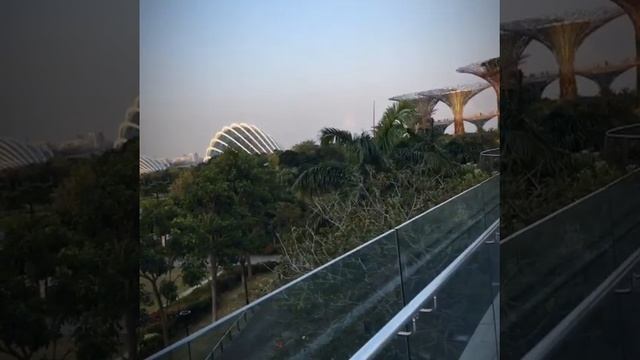 Travel Vlog - Marina Bay, Singapore смотреть онлайн