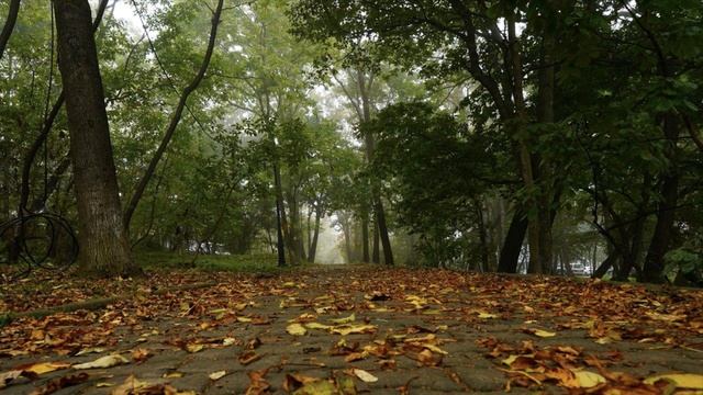 "Как погода зависит от ветра", Окружающий мир 4 класс ч.1, с.9-11, Планета знаний смотреть онлайн
