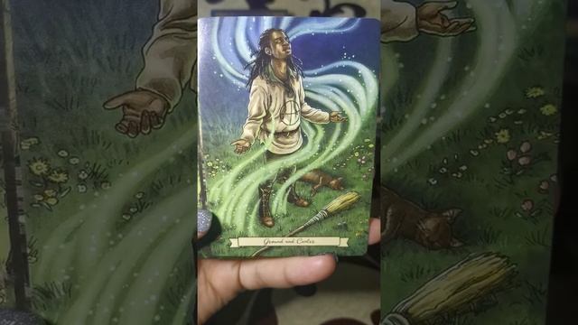 EVERYDAY WITCH ORACLE смотреть онлайн