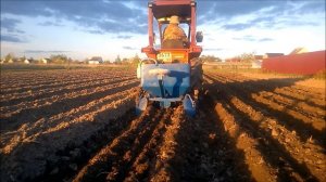 Посадка картофеля японским минитрактором с шириной колеи 94см.