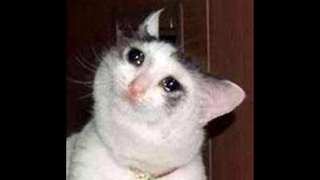 тролинг, белый звонит и тролит XD (я вот телефон нашел) смотреть онлайн