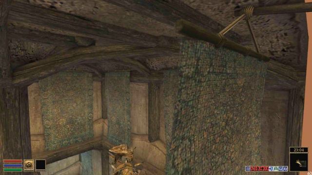 Morrowind Bugs