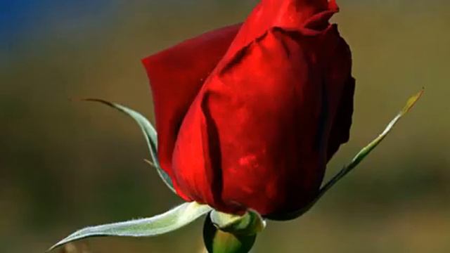 Слушать горячую русскую песню про любовь 2015 смотреть онлайн