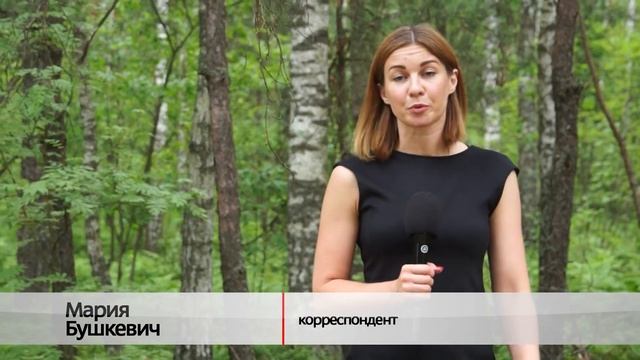 ГДЕ РАСТЁТ ЧЕРНИКА смотреть онлайн