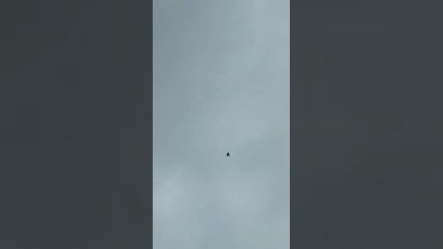 #Pigeon.Кофейная голубка у Камиля. смотреть онлайн