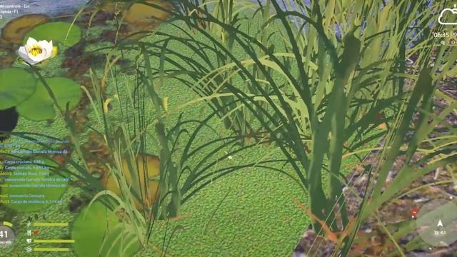 Bugged Frog - Russian fishing 4 смотреть онлайн