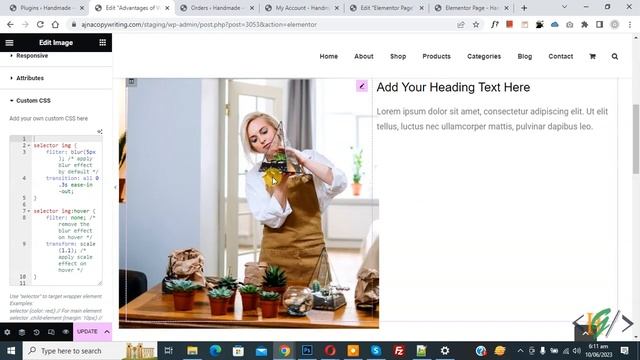 How to Generate Custom CSS Code For Elements / Widget using Elementor AI in WordPress смотреть онлайн