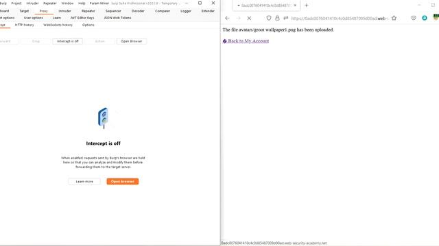 Web shell upload via Content-Type restriction bypass смотреть онлайн