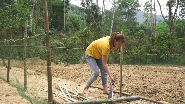 Farm Life: Gardening vegetable and growing vegetables, Building farm - Hao's Farm смотреть онлайн