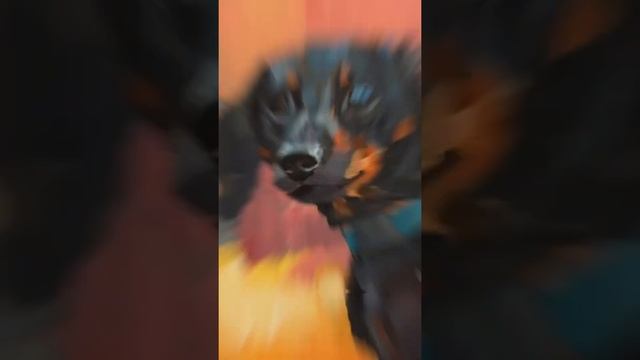 Процесс рисования акрилом, холст на картоне | Acrylic painting of Dachshund dog on canvas board смотреть онлайн