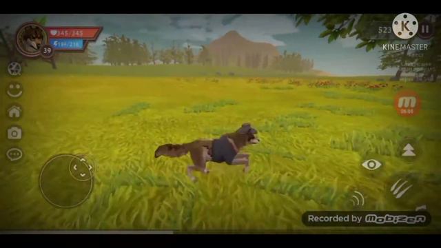 Ibeta125. Ibeta125 разоблачение. Правда или миф?