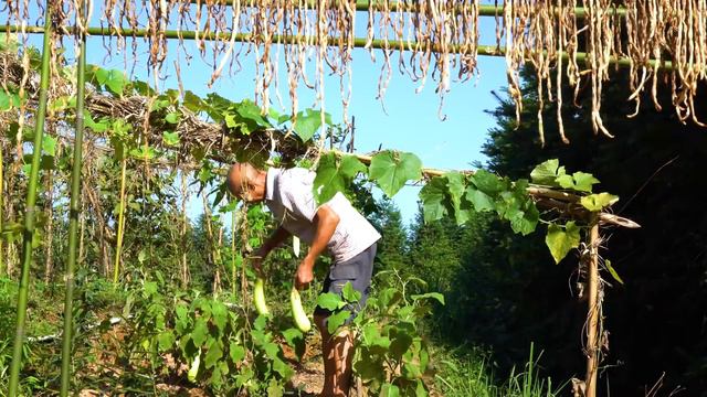 老王做22个豪华“竹筒饭”，还有野生大螃蟹，90岁老妈有口福了