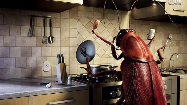 ТОП 10 ФАКТОВ О ТАРАКАНАХ смотреть онлайн