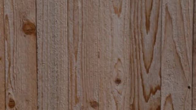 John Cage: Quartets I-VIII (1976) смотреть онлайн