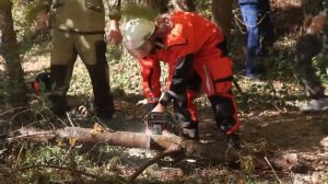 В ходе учений МЧС севастопольские спасатели ликвидировали крупный лесной пожар