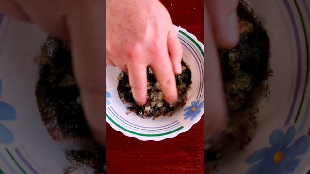 Сало горячего копчения за 35 минут вместе с маринадом