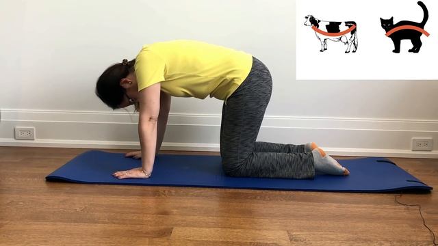 #033 Learn Ten Home-Based Exercises And Pain Relief Positions For Lumbar Spinal Stenosis