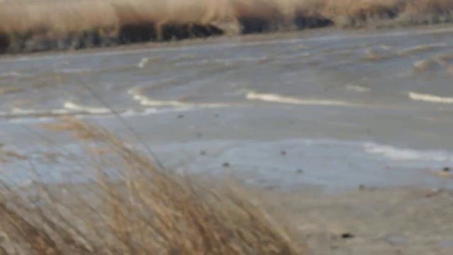 Бейсуг в порывах ураганного ветра смотреть онлайн