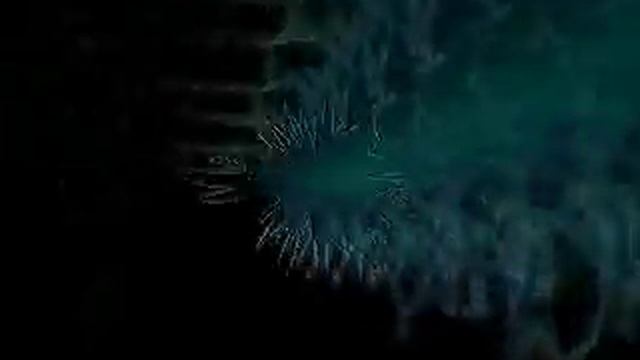 D.O.M. - Acid War (Wah Wah's Acid Intensifier Remix, 1995) смотреть онлайн