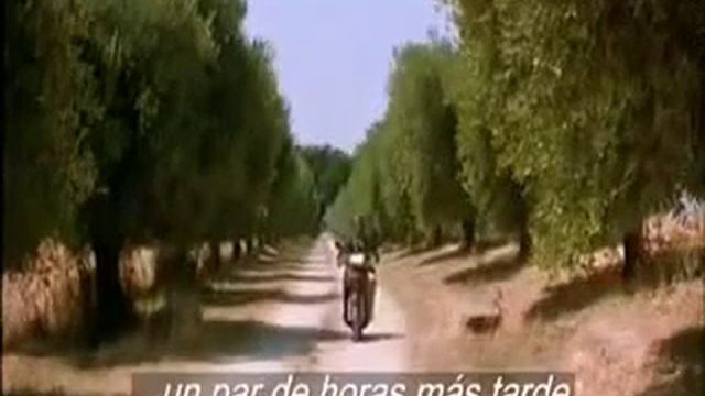 Сколько времени спрашивает смотреть онлайн