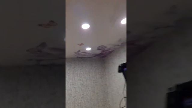 08. Натяжной потолок под ключ. С фотопечатью и двумя зонами освещения. Дивногорск ул. Набережная 37 смотреть онлайн