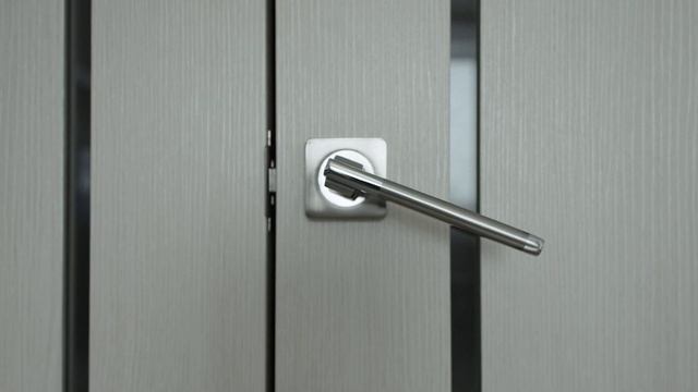 Антипиратский протокол v.1/ VFX-ZEN смотреть онлайн