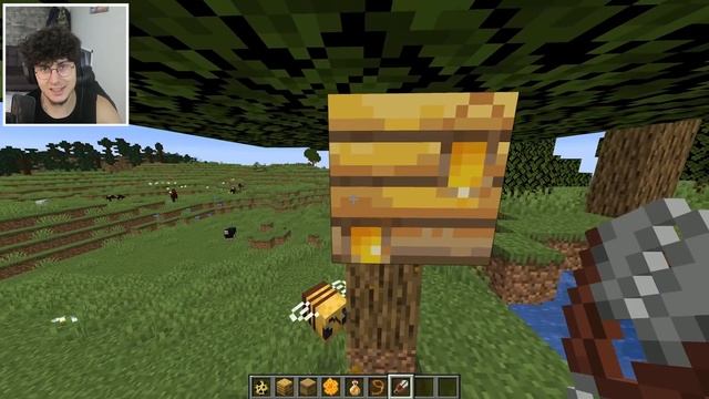 Minecraft YENİ ARI GÜNCELLEMESİ!!